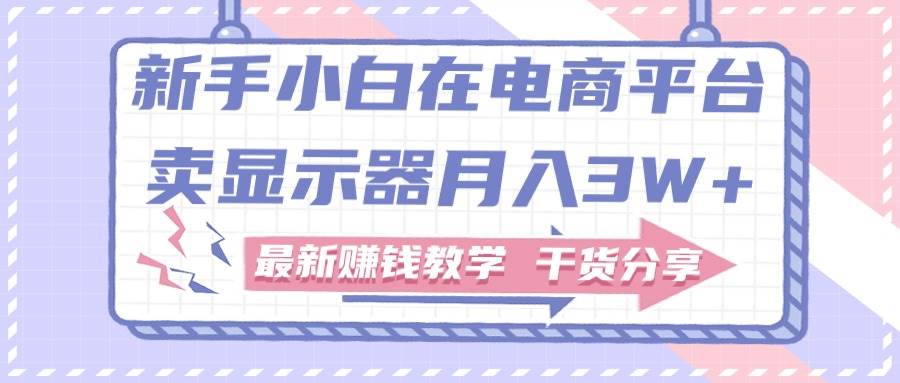 新手小白如何做到在电商平台卖显示器月入3W+，最新赚钱教学干货分享-创盟网
