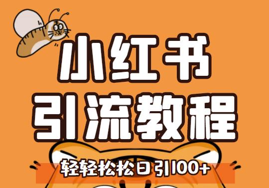 小红书运营引流全系列课程，每天引流100精准粉-创盟网