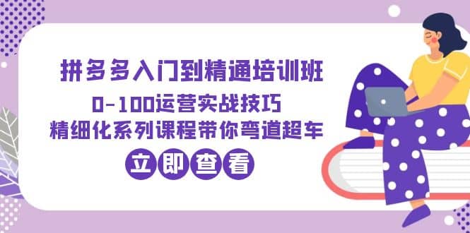 2023拼多多入门到精通培训班：0-100运营实战技巧 精细化系列课带你弯道超车-创盟网