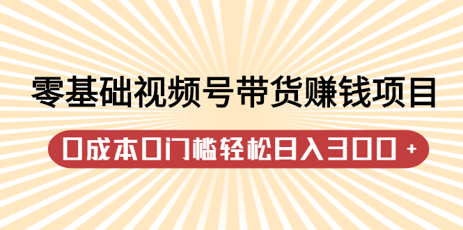 零基础视频号带货赚钱项目，0成本0门槛轻松日入300+【视频教程】-创盟网