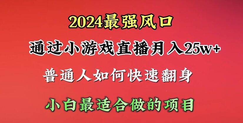 2024年最强风口，通过小游戏直播月入25w+单日收益5000+小白最适合做的项目-创盟网