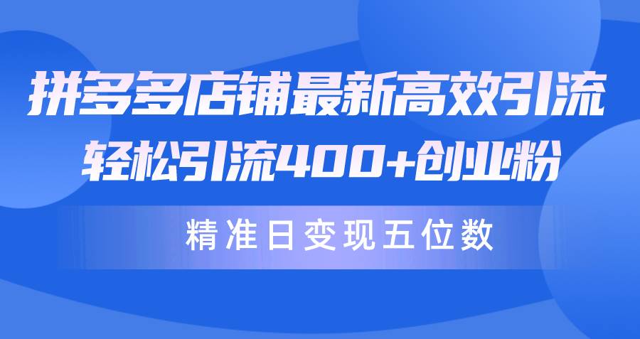 拼多多店铺最新高效引流术，轻松引流400+创业粉，精准日变现五位数！-创盟网