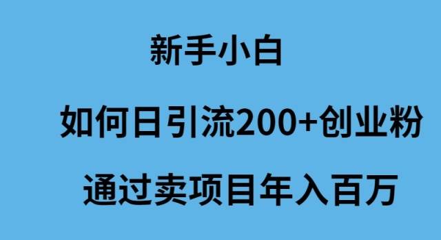 新手小白如何日引流200+创业粉通过卖项目年入百万-创盟网