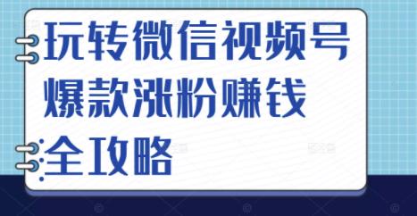 玩转微信视频号爆款涨粉赚钱全攻略，让你快速抓住流量风口，收获红利财富-创盟网