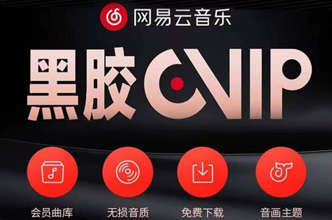 网易云撸黑胶年卡及变现方法，收益可无限放大-创盟网