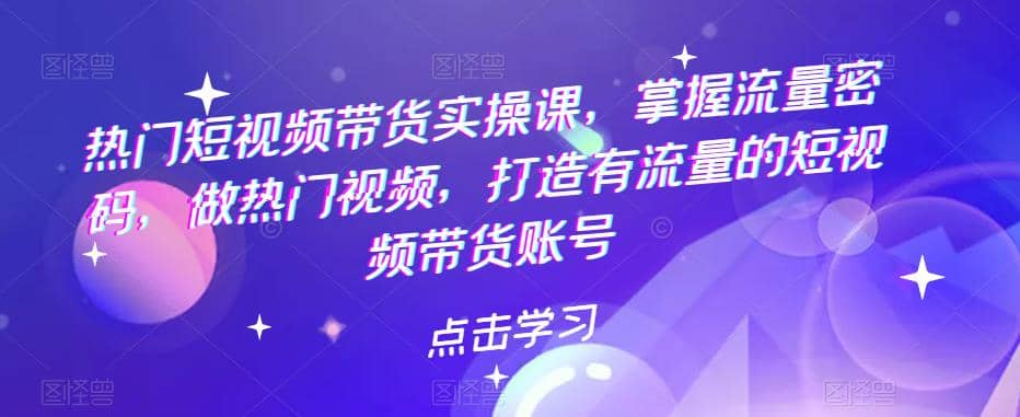 热门短视频带货实战 掌握流量密码 做热门视频 打造有流量的短视频带货账号-创盟网