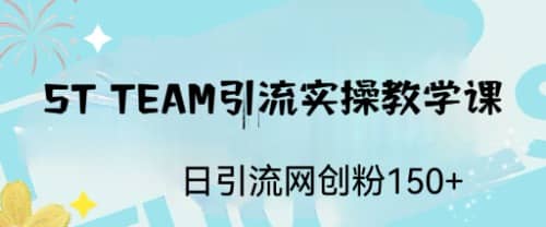 ST TEAM引流实操课，日引流网创粉100+-创盟网