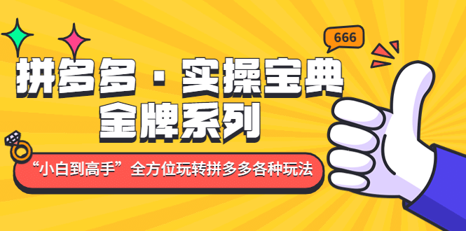 拼多多·实操宝典：金牌系列“小白到高手”带你全方位玩转拼多多各种玩法-创盟网