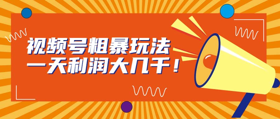 视频号粗暴玩法，一天利润大几千-创盟网