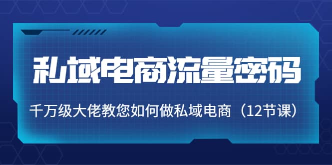 私域电商流量密码：千万级大佬教您如何做私域电商（12节课）-创盟网