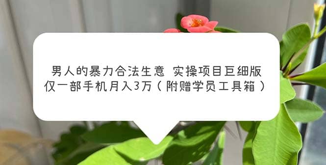 男人的暴力合法生意实操项目巨细版：仅一部手机月入3w（附赠学员工具箱）-创盟网
