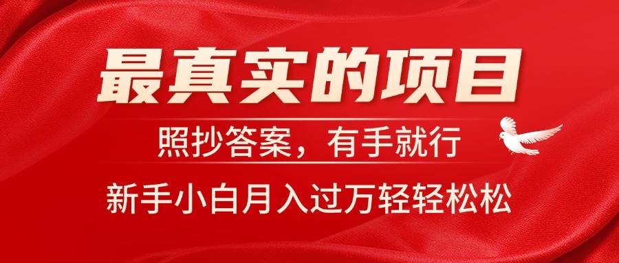 最真实的项目，照抄答案，有手就行，新手小白月入过万轻轻松松-创盟网