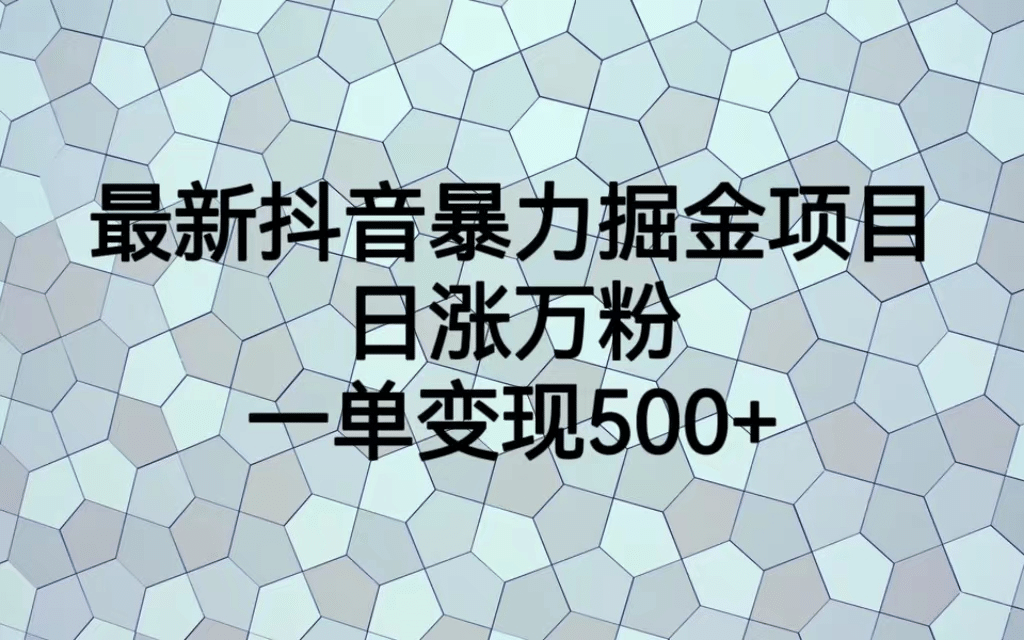 最火热的抖音暴力掘金项目，日涨万粉，多种变现方式，一单变现可达500+-创盟网