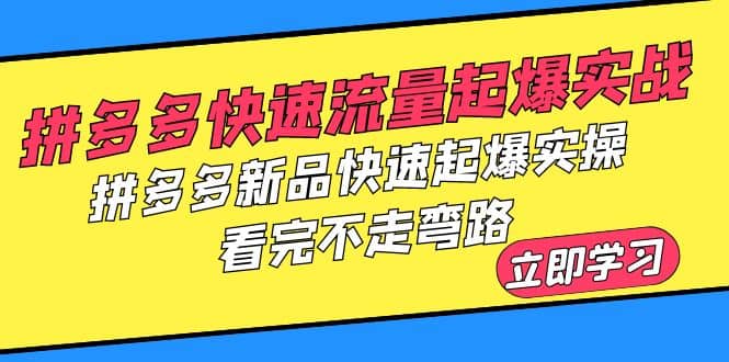 拼多多-快速流量起爆实战，拼多多新品快速起爆实操，看完不走弯路-创盟网