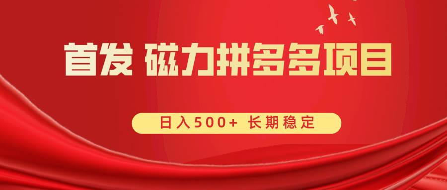首发 磁力拼多多自撸  日入500+-创盟网