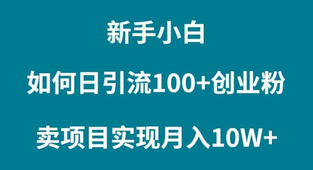 新手小白如何通过卖项目实现月入10W+-创盟网