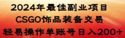 2024年最佳副业项目 CSGO饰品装备交易 轻易操作单账号日入200+-创盟网