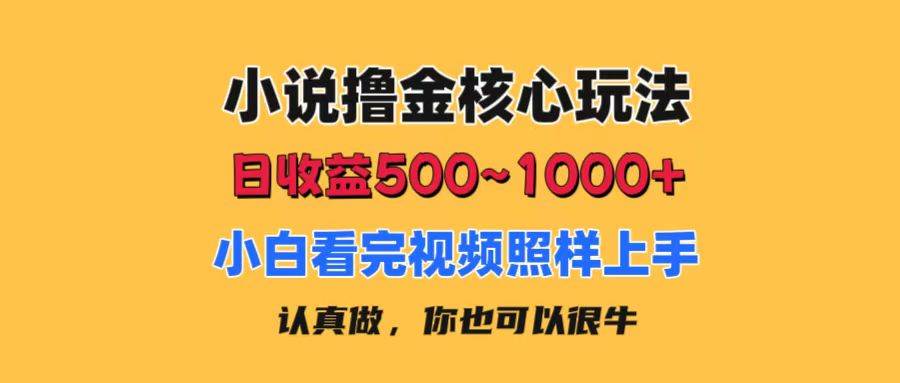 小说撸金核心玩法，日收益500-1000+，小白看完照样上手，0成本有手就行-创盟网