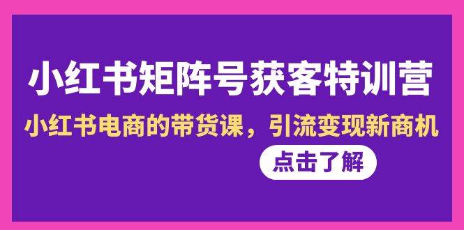 小红书-矩阵号获客特训营-第10期，小红书电商的带货课，引流变现新商机-创盟网