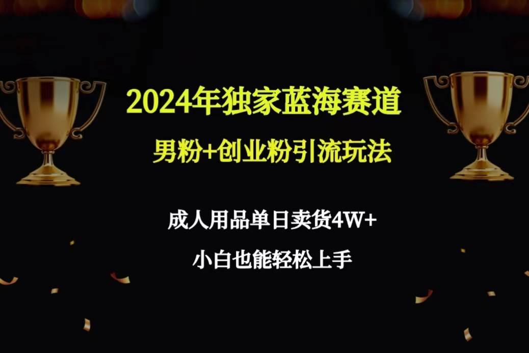 2024年独家蓝海赛道男粉+创业粉引流玩法，成人用品单日卖货4W+保姆教程-创盟网