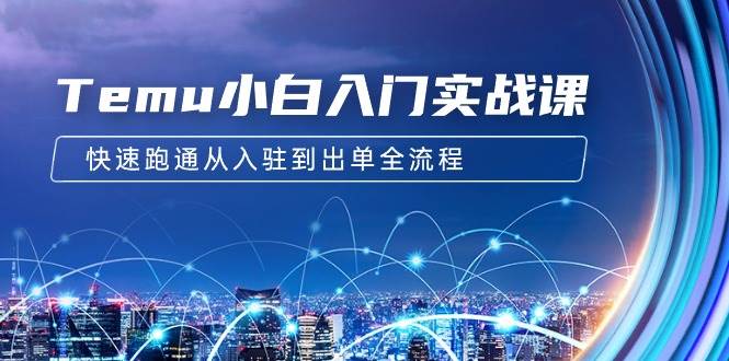 Temu小白入门实战课：跨境拼多多电商培训 快速跑通从入驻到出单全流程-12节-创盟网