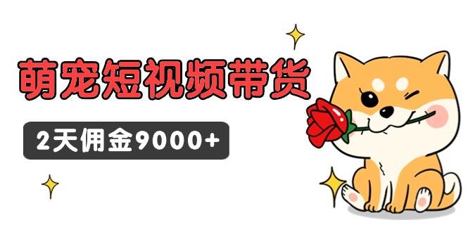 东哲日记·萌宠短视频带货，2天佣金9000+-创盟网