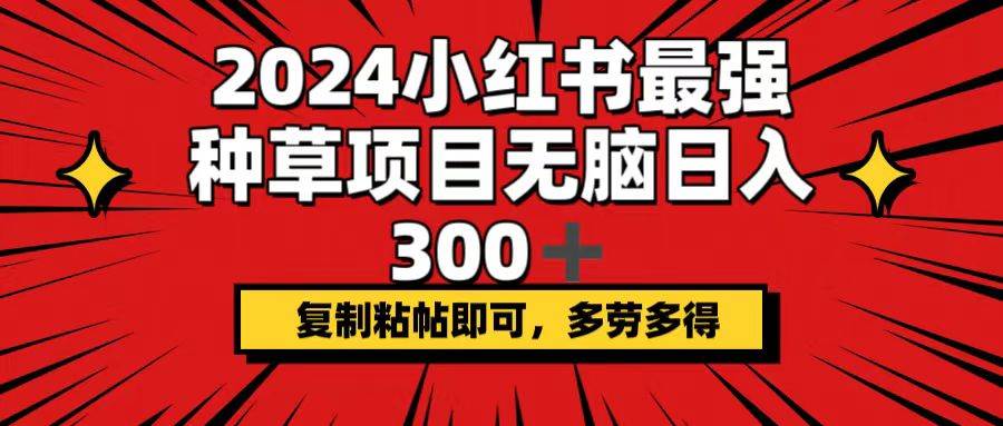 2024小红书最强种草项目，无脑日入300+，复制粘帖即可，多劳多得-创盟网