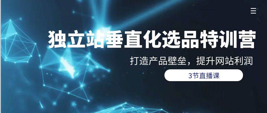 独立站-垂直化选品训练营，打造产品壁垒，提升网站利润（3节直播课）-创盟网