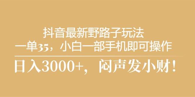抖音最新野路子玩法，一单35，小白一部手机即可操作，，日入3000+，闷…-创盟网