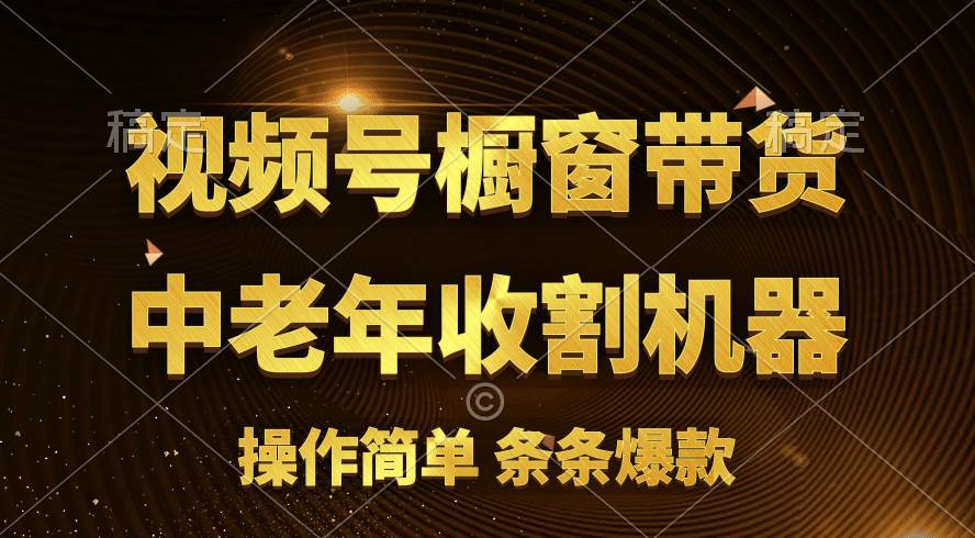 [你的孩子成功取得高位]视频号最火爆赛道，橱窗带货，流量分成计划，条…-创盟网