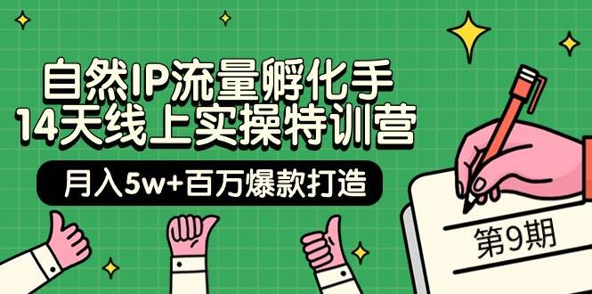 自然IP流量孵化手 14天线上实操特训营【第9期】月入5w+百万爆款打造 (74节)-创盟网