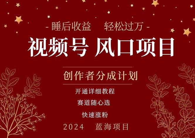 拥有睡眠收益的微信视频号大风口项目，轻松月入过万+，多赛道选择，可…-创盟网