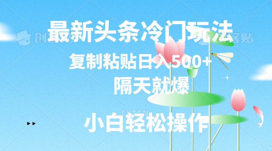最新头条冷门玩法，隔天就爆，复制粘贴日入500+-创盟网