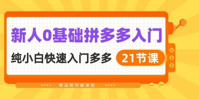 新人0基础拼多多入门，纯小白快速入门多多（21节课）-创盟网