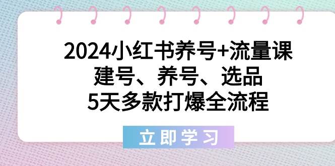 2024小红书养号+流量课：建号、养号、选品，5天多款打爆全流程-创盟网
