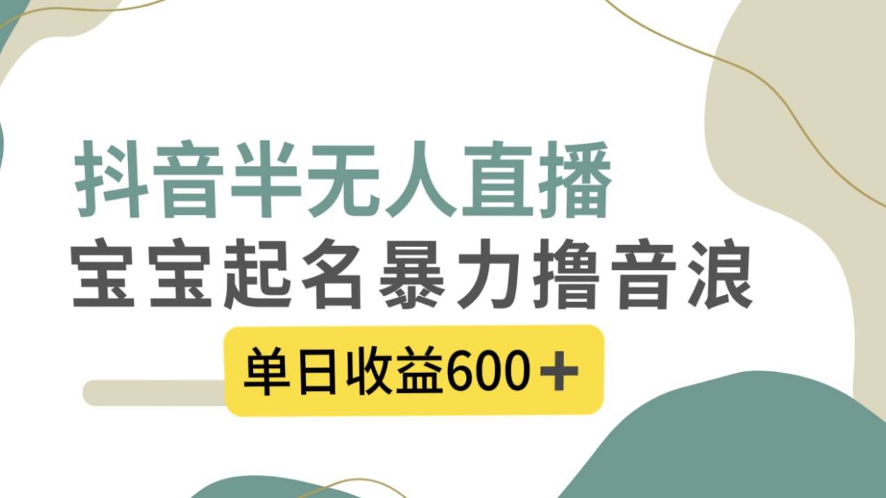抖音半无人直播，宝宝起名，暴力撸音浪，单日收益600+-创盟网