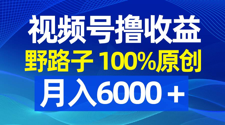 视频号野路子撸收益，100%原创，条条爆款，月入6000＋-创盟网