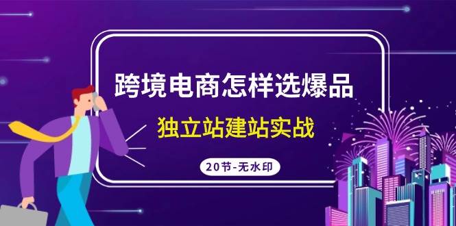 跨境电商怎样选爆品，独立站建站实战（20节高清无水印课）-创盟网