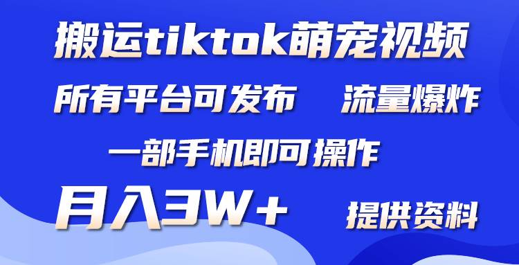 搬运Tiktok萌宠类视频，一部手机即可。所有短视频平台均可操作，月入3W+-创盟网