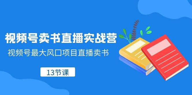 视频号-卖书直播实战营，视频号最大风囗项目直播卖书（13节课）-创盟网