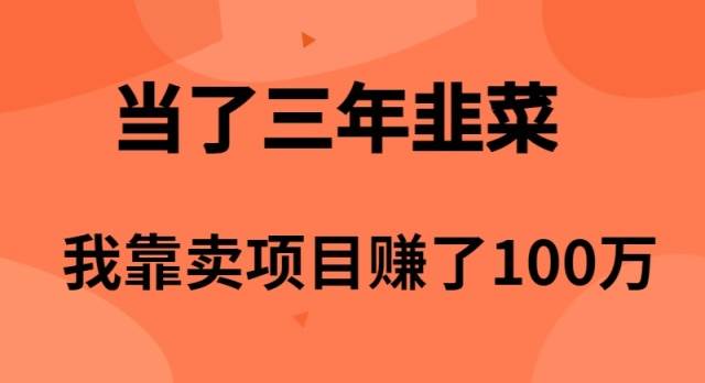 当了3年韭菜，我靠卖项目赚了100万-创盟网