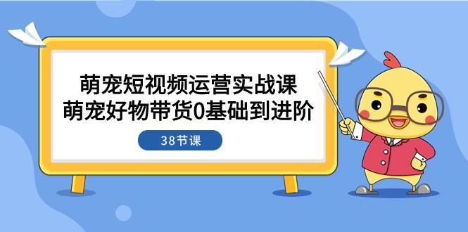 萌宠·短视频运营实战课：萌宠好物带货0基础到进阶（38节课）-创盟网