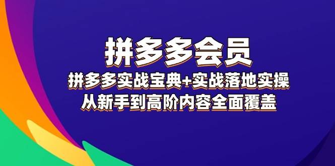 拼多多 会员，拼多多实战宝典+实战落地实操，从新手到高阶内容全面覆盖-创盟网