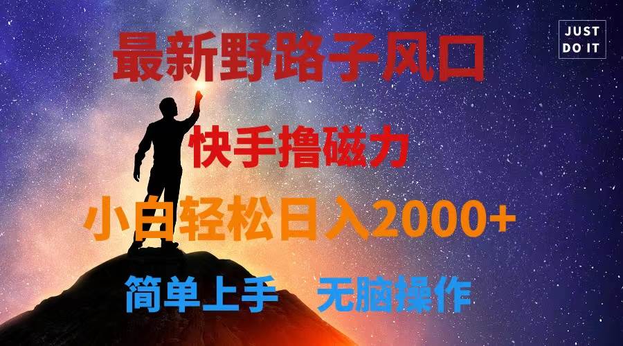 最新风口！快手撸磁力，野路子，小白无脑操作日入2000+-创盟网