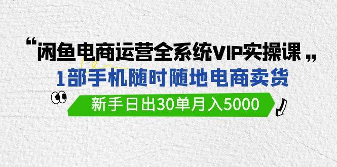 闲鱼电商运营全系统VIP实战课，1部手机随时随地卖货，新手日出30单月入5000-创盟网