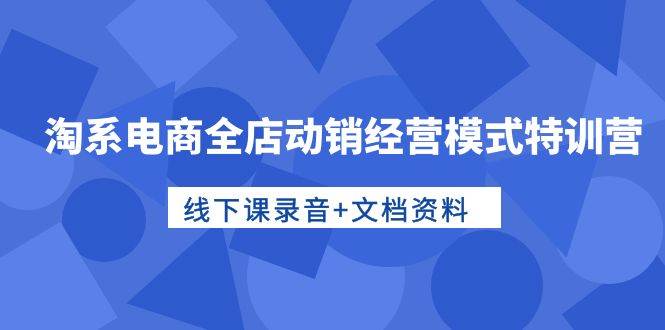 淘系电商全店动销经营模式特训营，线下课录音+文档资料-创盟网