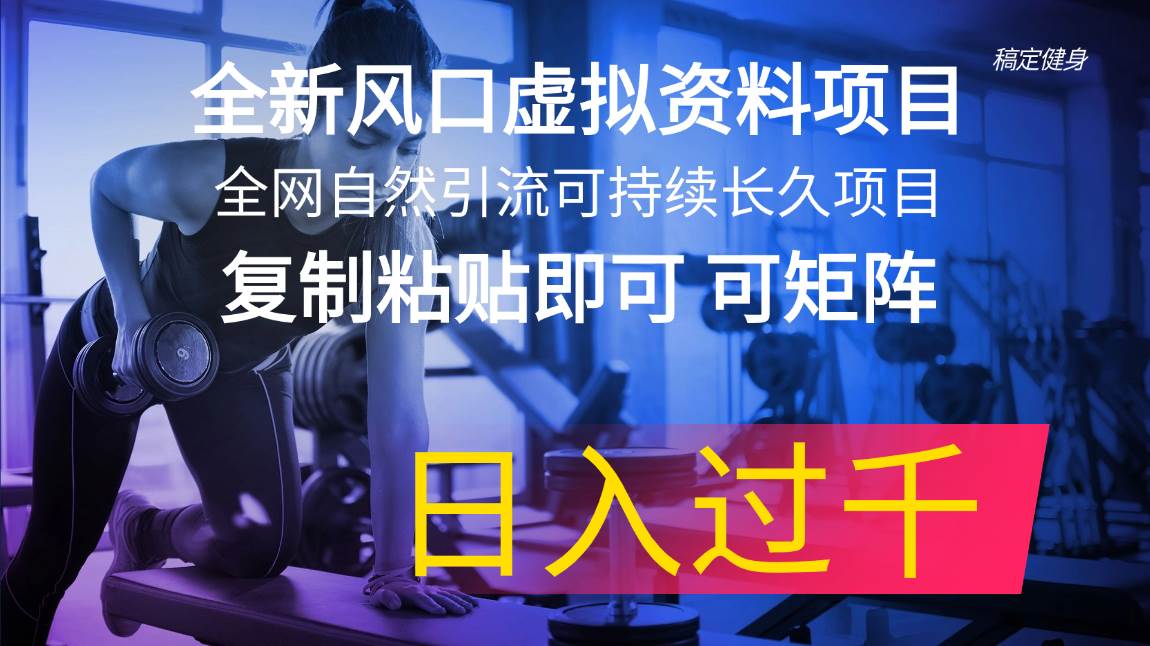 全新风口虚拟资料项目 全网自然引流可持续长久项目 复制粘贴即可可矩阵…-创盟网