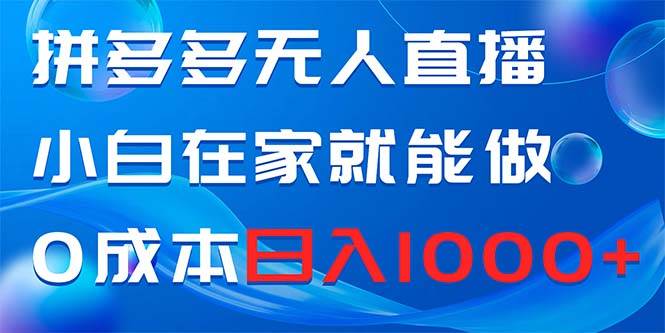 拼多多无人直播，小白在家就能做，0成本日入1000+-创盟网