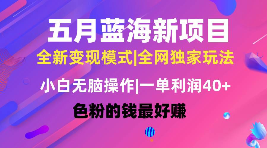 五月蓝海项目全新玩法，小白无脑操作，一天几分钟，矩阵操作，月入4万+-创盟网