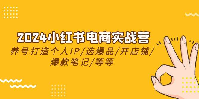 2024小红书电商实战营，养号打造IP/选爆品/开店铺/爆款笔记/等等（24节）-创盟网